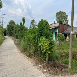 Đất trồng cây lau năm, mặt tiền đường Thanh Nien Xung Phong, Hiệp phướ