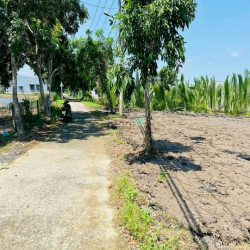 Đất trồng cây lau năm, mặt tiền đường Thanh Nien Xung Phong, Hiệp phướ