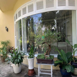Cho thuê Biệt Thự 2 mt 18X20 đường Bành Văn Trân, Phường 7 Tân Bình