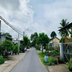 Tết đến Xuân về cần tiền ăn tết bán đất full thổ 100m2 Thị TrấnCủ Chi