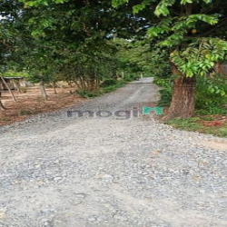Vị trí cách chợ, QL22B 1km, đường 10m xe hơi chạy vi vu. - Diện tích:
