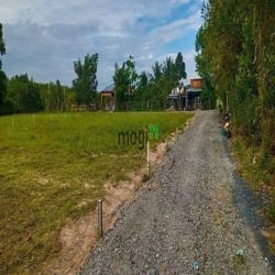 Vị trí cách chợ, QL22B 1km, đường 10m xe hơi chạy vi vu. - Diện tích:
