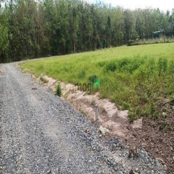 Vị trí cách chợ, QL22B 1km, đường 10m xe hơi chạy vi vu. - Diện tích: