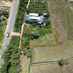 Em có lô đất Tân Đông Tân Châu cần bán gấp với giá:520tr dt: 1250m2