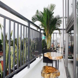Căn hộ studio cửa sổ,view cây xanh,Nguyễn Đức Thuận Tân Bình