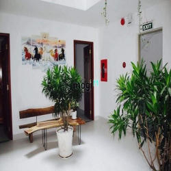 Căn hộ studio cửa sổ,view cây xanh,Nguyễn Đức Thuận Tân Bình