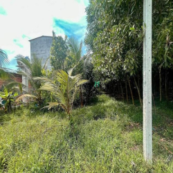 Cần bán nhanh đất SHR, góc L HXH, ko lộ giới, thuộc ấp Sa Nghe, An Cơ,