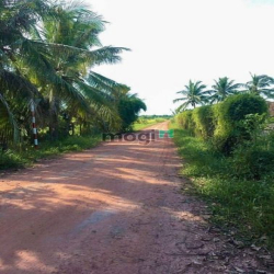 Cần bán nhanh đất SHR, góc L HXH, ko lộ giới, thuộc ấp Sa Nghe, An Cơ,