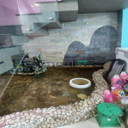 Bán Nhà An Lạc, Hẻm Xe Hơi 5m,gần Lê Cơ,4 tầng, 4pn,4x16.5, Hơn 6 Tỷ