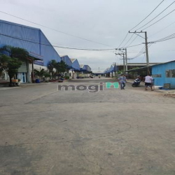 Cho thuê kho xưởng mới diện tích yêu cầu tại đường Trần Đại Nghía.
