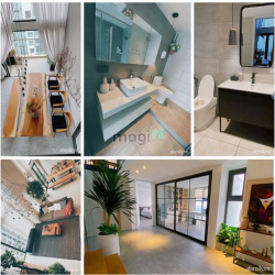 ?????̂?: Cho thuê căn hộ + Lofthouse + Penthouse - Phú Hoàng Anh