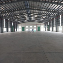 Cho thuê kho xưởng 500 - 2000m2 giá rẻ tại đường Phan Huy Ích, Gò Vấp