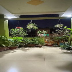 MT chợ vải Phú Thọ Hòa 218m2 ngang 6.8m nở hậu 3 tầng HC đủ, 24 tỷ TL