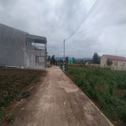 Bán đất TT Liên Nghĩa dt 5x25m cách QL20 chỉ 350m giá siêu rẻ