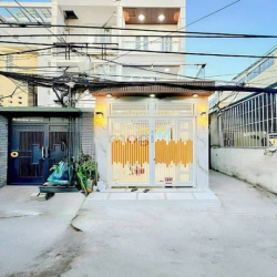 Nhà mới đẹp lung linh 2 lầu hẻm xe hơi Chuyên Dùng 9, Phú Mỹ, Quận 7