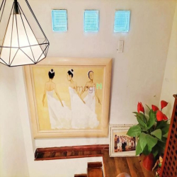 Chính chủ bán nhà Hồ Biểu Chánh, p11, PN, 50m2,2tỷ100, sổ hồng riêng.