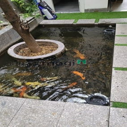 Phạm Văn Bạch 230m2 10x23 Phường 15 Tân Bình giá 19 tỷ (thương lượng t