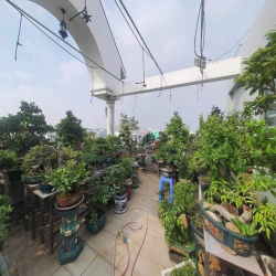 MTKD 6lầu đẹp ngay chợ Phạm Văn Bạch 120m2 ngang 6m có TM tặng NT 21tỷ