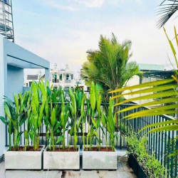 Bán nhà rẻ đẹp đúc 4 lầu 350/35/8 NGUYỄN VĂN LƯỢNG p16 Gò Vấp LOTTER